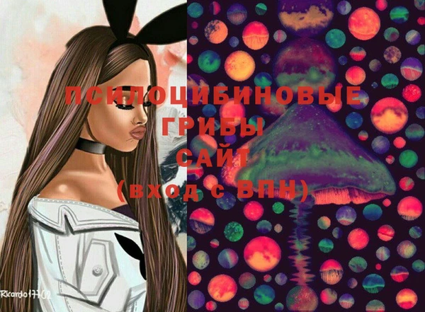 метадон Аркадак
