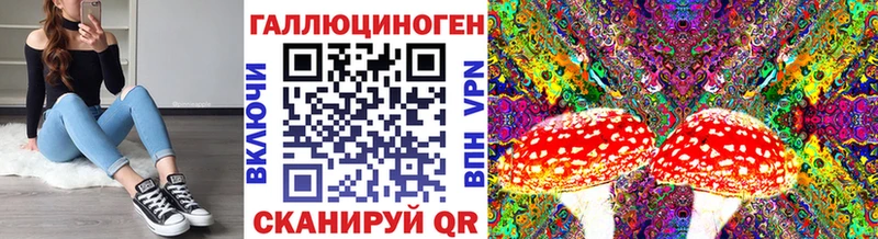Купить где  Ветлуга  Галлюциногенные грибы MAGIC MUSHROOMS 